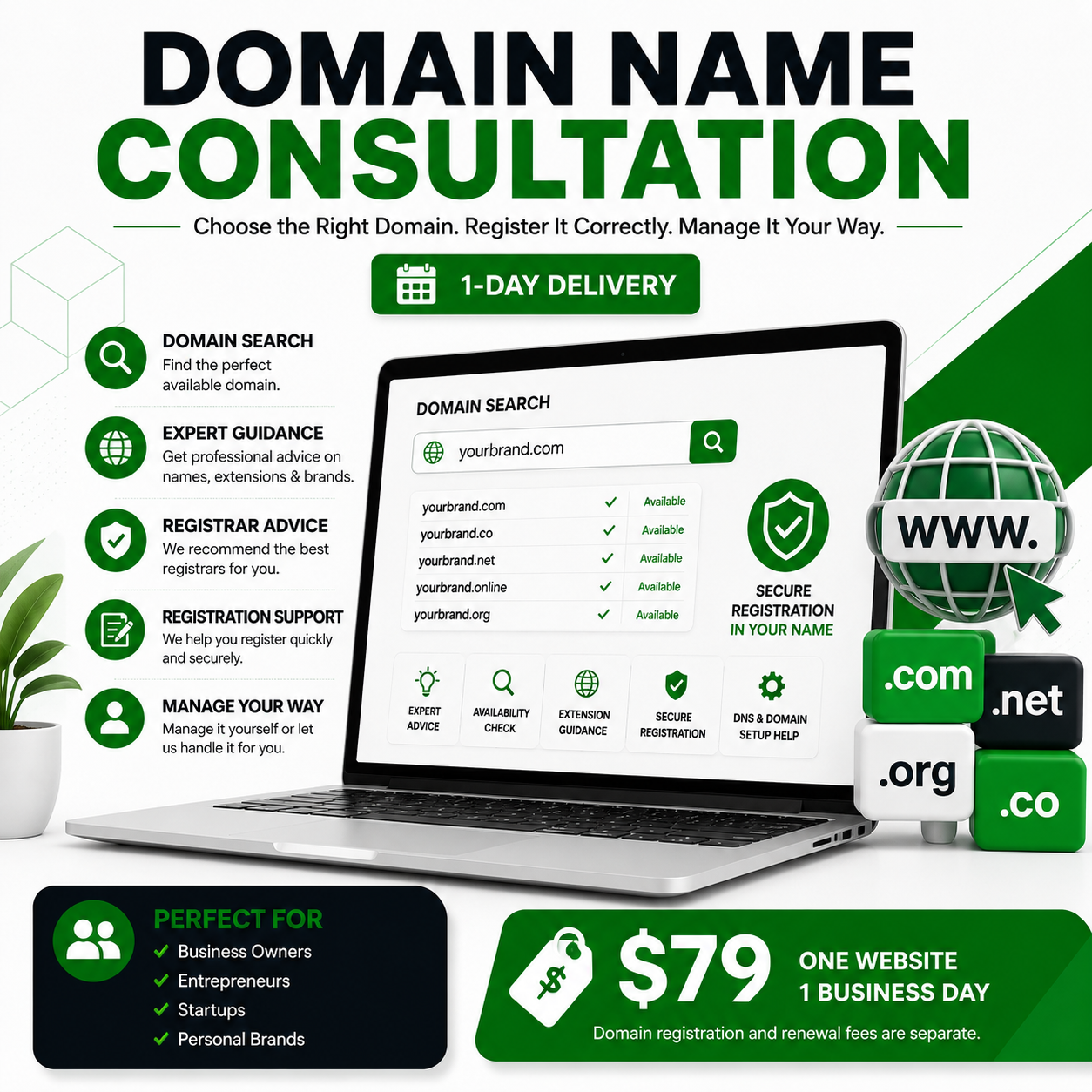 Domain Name Consultation