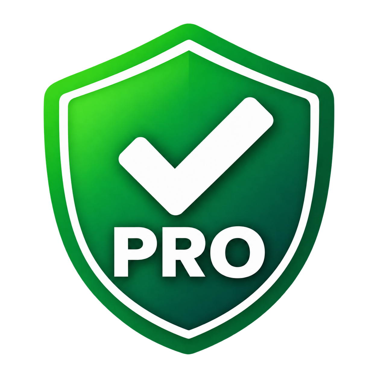 Professional WordPress Website Audit